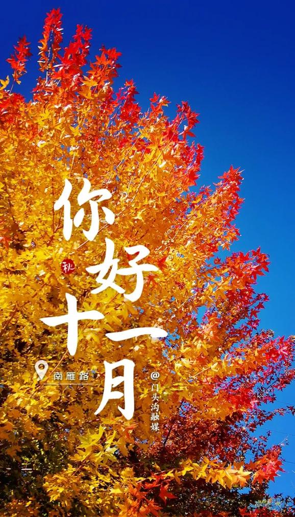 你好十一月愿你三冬暖愿你春不寒