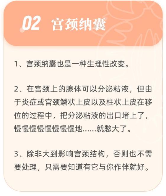 宫颈纳囊 3.盆腔积液 4.清洁度异常 5.宫颈炎 6.假性湿疣 7.