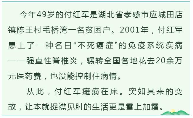 决战决胜脱贫攻坚付红军甩掉穷帽幸福来敲门