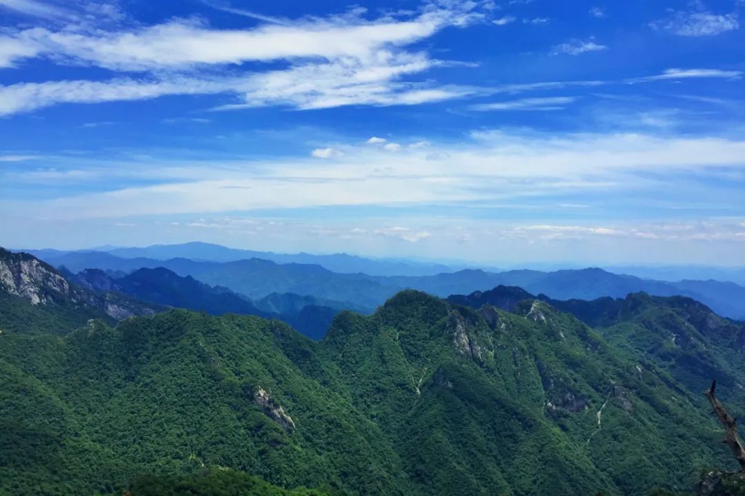 秦岭因为一张照片冲上了热搜