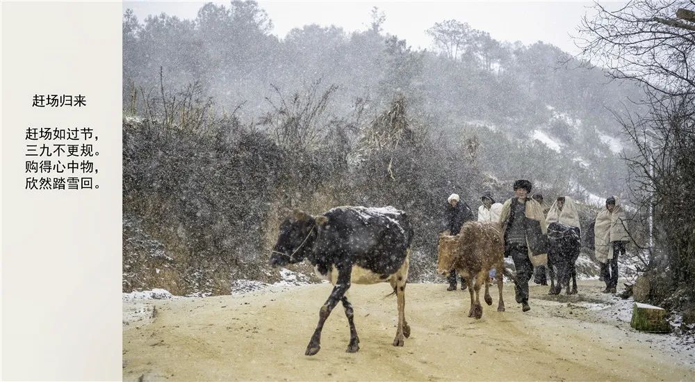 津门网魏育新:故事里的大凉山(雪原篇)