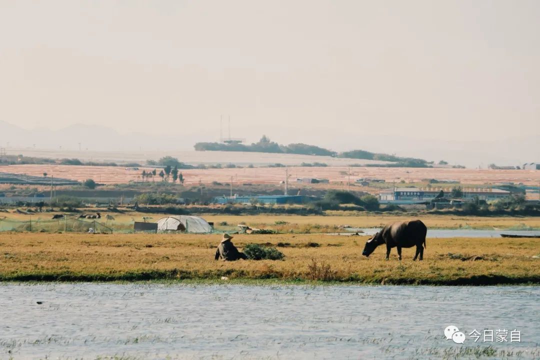 长桥海