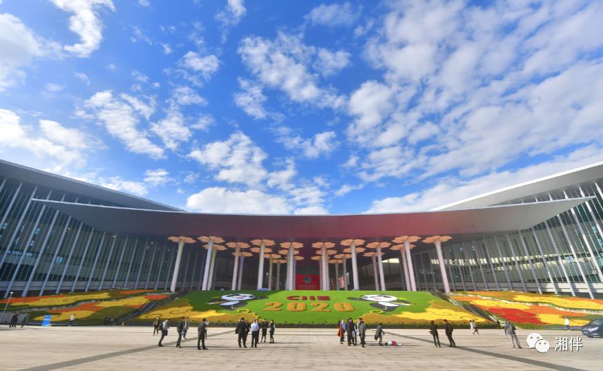 湖南元素“打卡”进博会（最新发布）