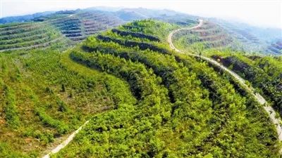 践行"绿水青山就是金山银山"理念,湖南积极促进一二三产业融合发展.