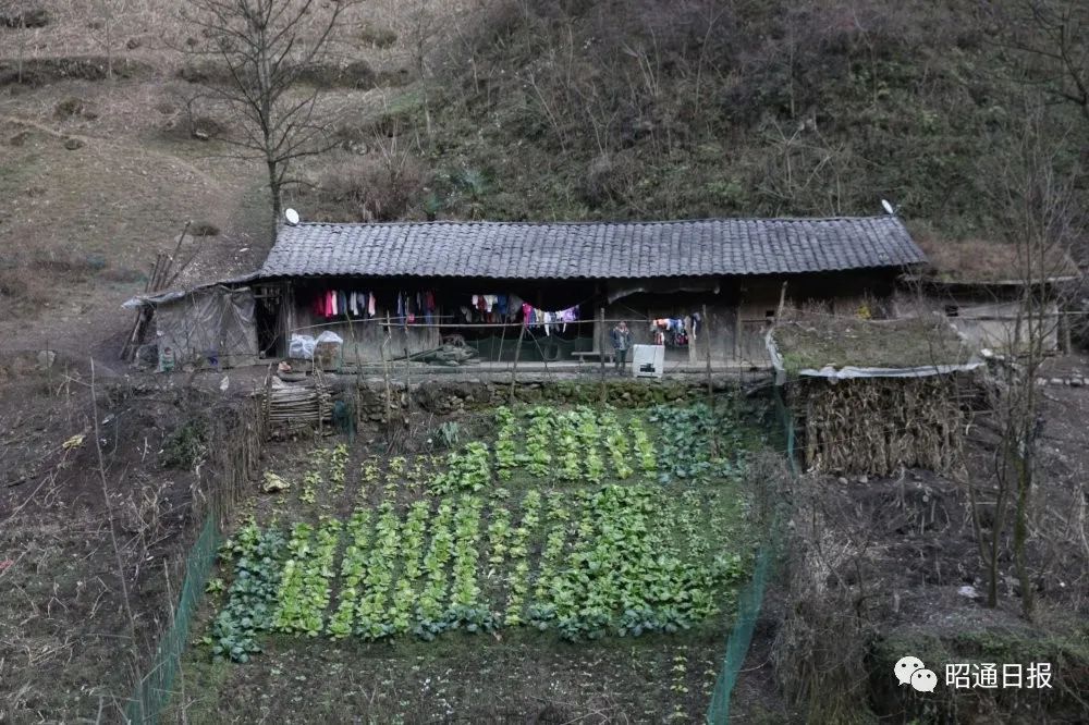 黄泥湾位于昭通市永善县桧溪镇得胜村,海拔近2000米,辖3个村民小组,70