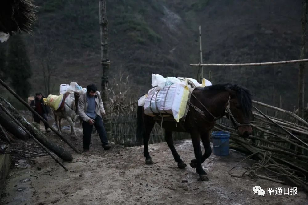 黄泥湾位于昭通市永善县桧溪镇得胜村,海拔近2000米,辖3个村民小组,70