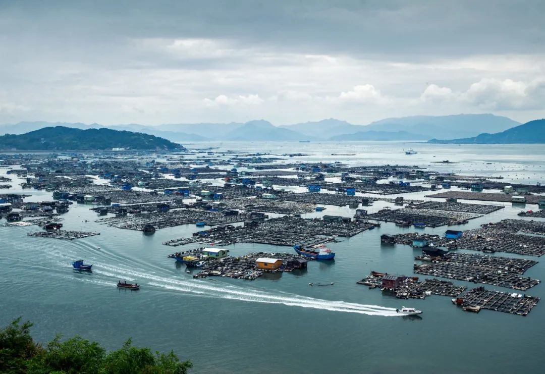 司法助推海上养殖综合整治守护三都澳碧海蓝天