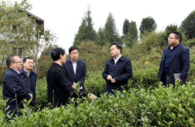 陈昌旭在思南县调研脱贫攻坚工作时强调:巩固提升脱贫成果 有效衔接