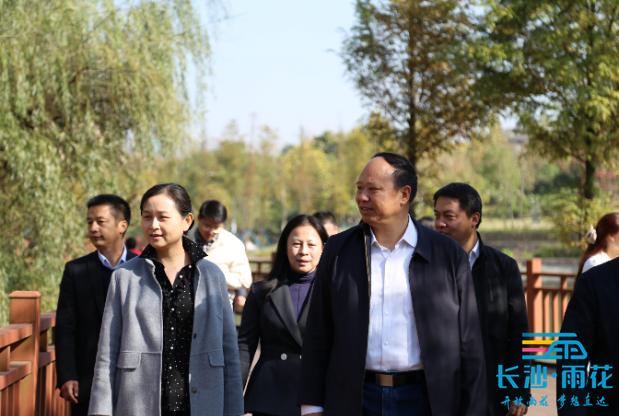 省人大财经委调研雨花区经济社会发展工作_政务_澎湃新闻-the paper