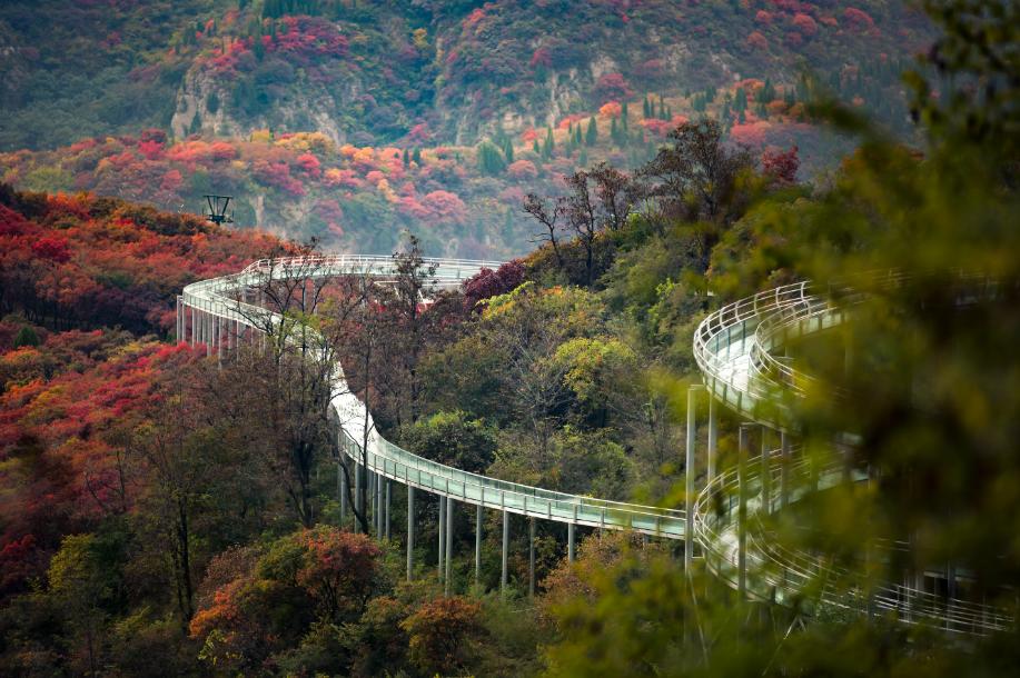 【改革创新在博山③】红叶柿岩:融合优质资源,打造乡村振兴典范