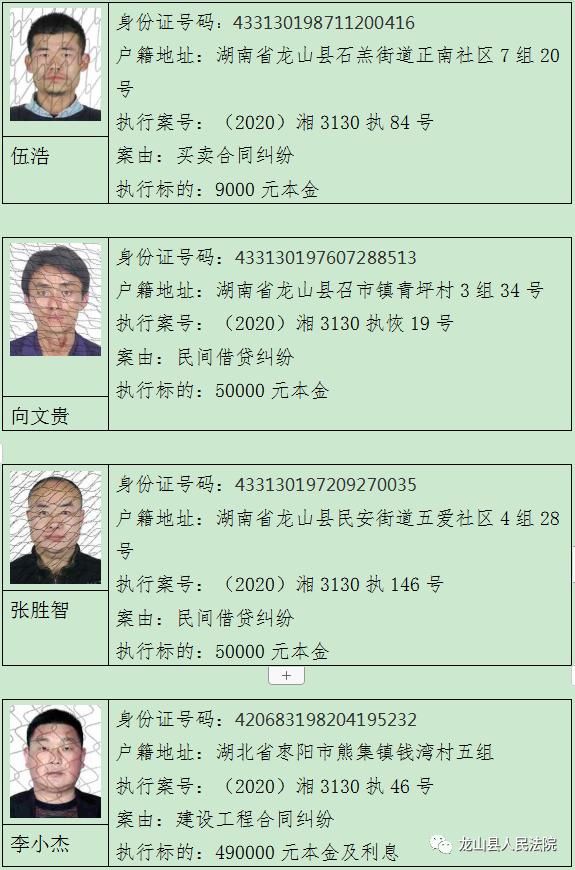 龙山县人民法院公告第十三期