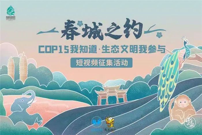 cop15"拍了拍"昆明人,当好东道主,扮靓"春城!