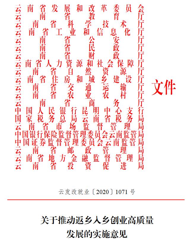 21部门联合发文！云南将重点支持这些人发展（最新发布）