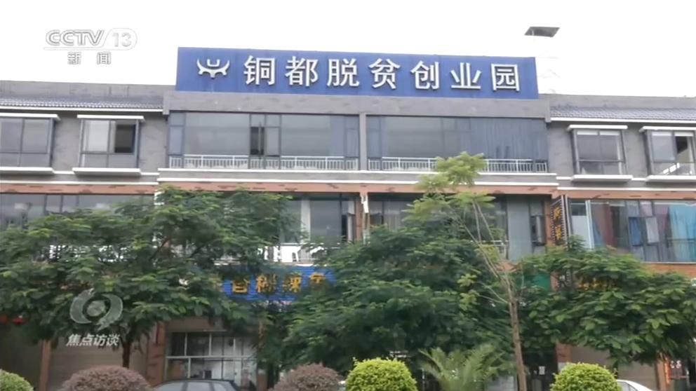 21部门联合发文！云南将重点支持这些人发展（最新发布）