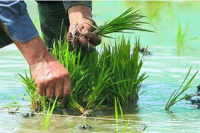 脱贫攻坚四川故事汇】梁志友 ‖ ​心里装着小满一田水（最新发布）