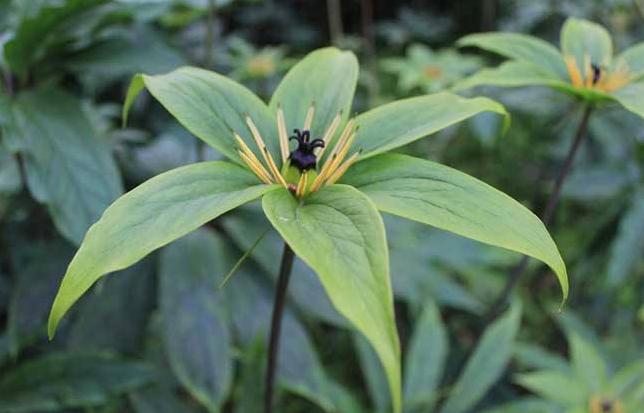 脱贫攻坚四川故事汇】梁志友 ‖ ​心里装着小满一田水（最新发布）