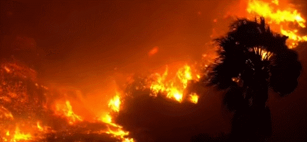 极度危险!江西一地紧急通知!(最新发布)