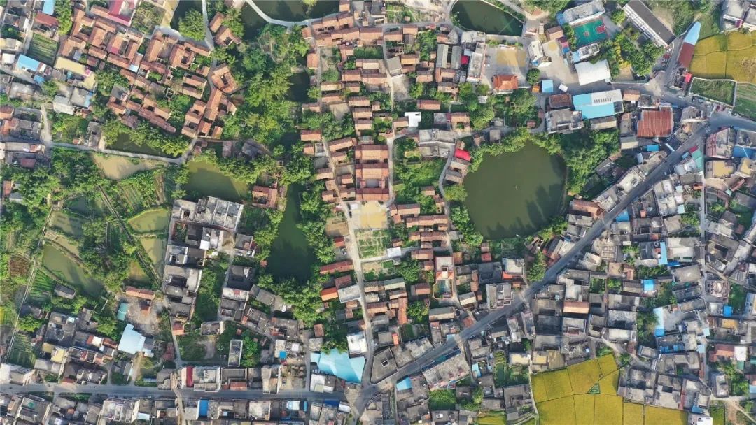 仁厚镇荔枝村航拍图.