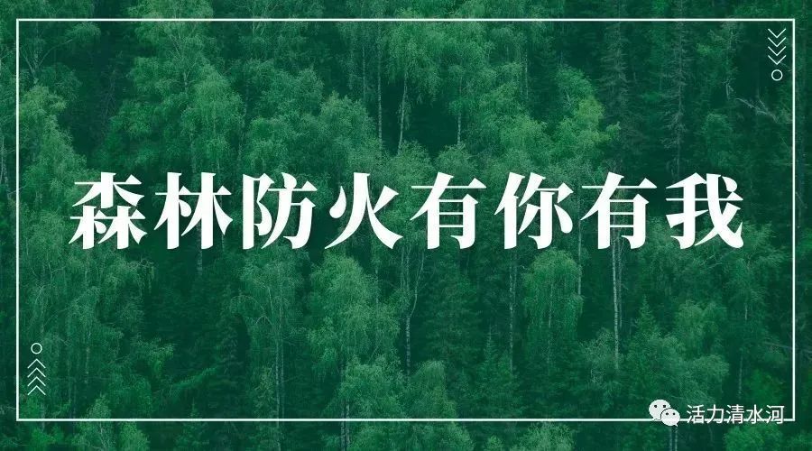 【特别关注】森林防火宣传片