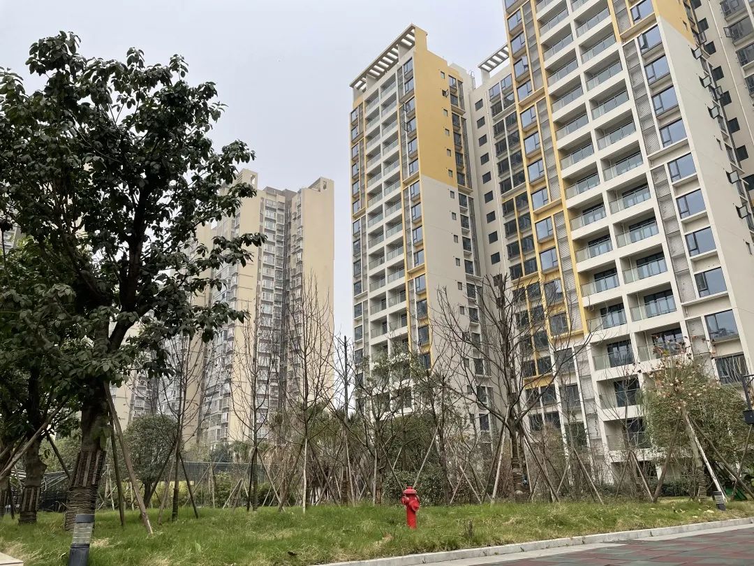 2,5号地块)迎来盛大交付,这是继芙蓉锦绣城交付之后的又一高品质安置
