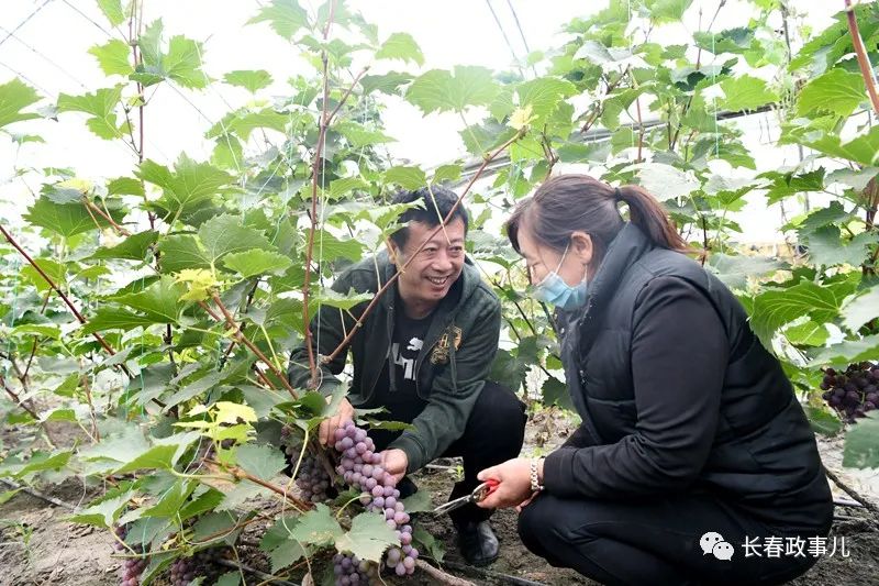 农安县华家镇边岗村:俺们村的日子城里人都眼馋