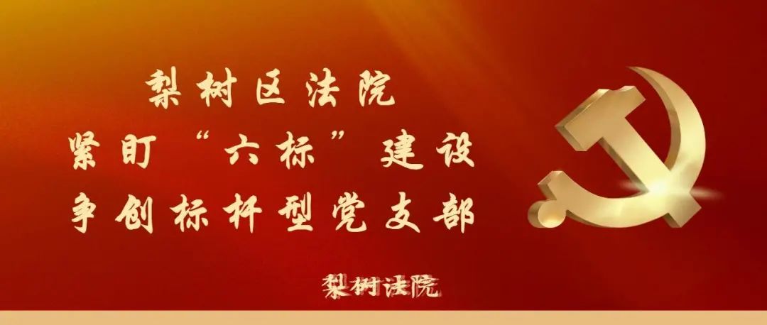 梨树区法院紧盯六标建设争创标杆型党支部