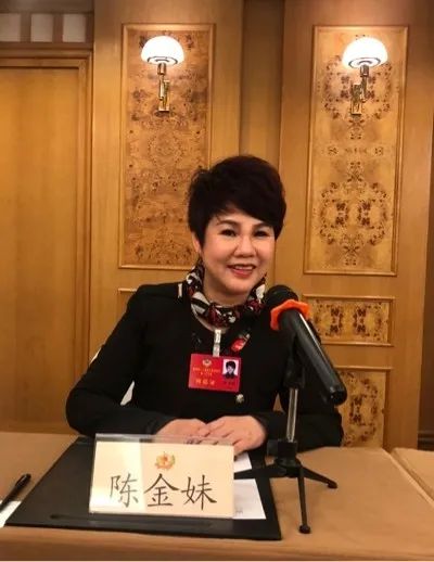 近日,捷克妇女联合会会长陈金妹出席联合国成立75周年全球精英高峰