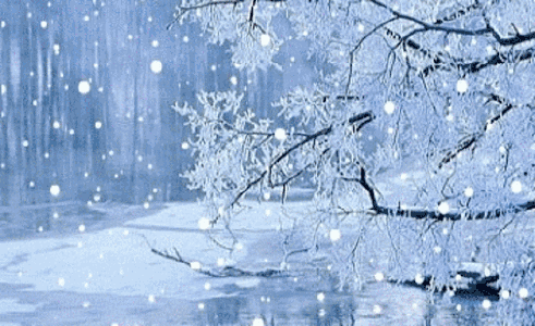 【微提示】雪雪雪雪雪要来了!请收好这份雪天行车安全常识