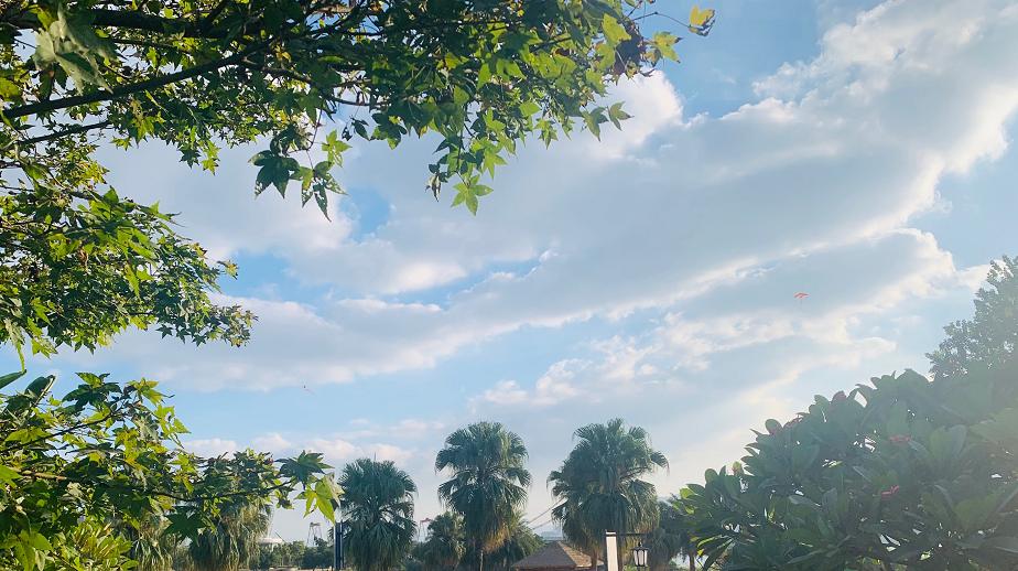 福建人注意！大降温前的疯狂？最高气温30℃，之后……（最新发布）