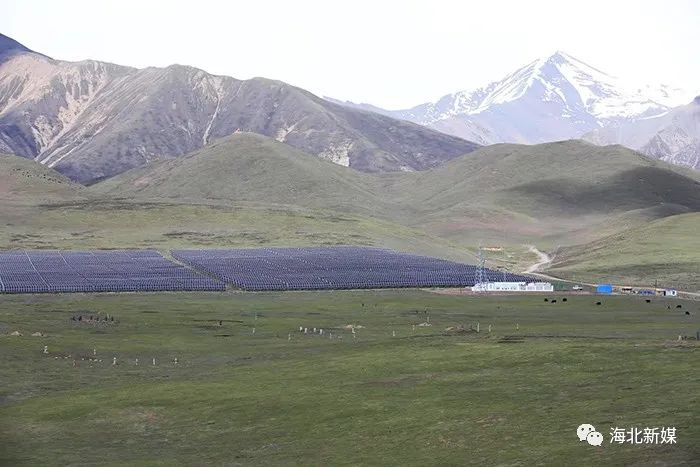 门源回族自治县北山乡沙沟梁村后山的集体草场上,一排排蓝色的光伏