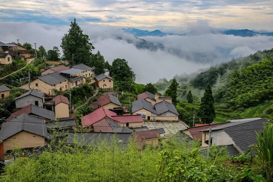 丽水乡村纪行陈寮村城市后花园