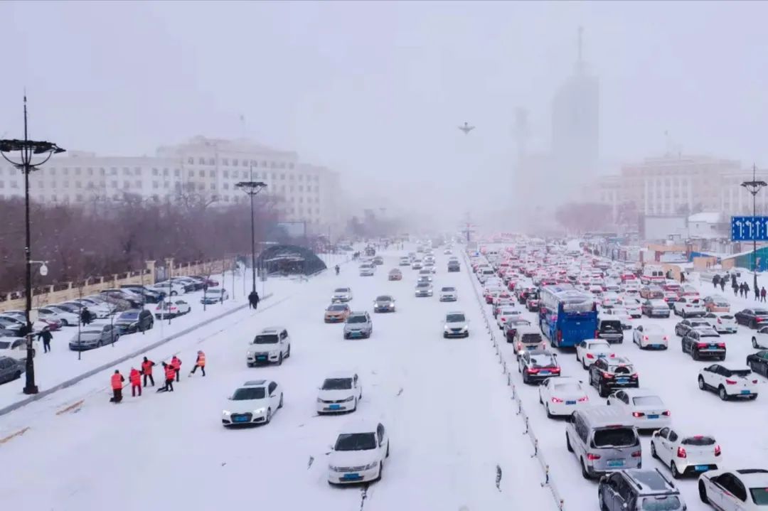 哈尔滨下雪了!下大雪了!下暴雪了! 我们出门是这样滴