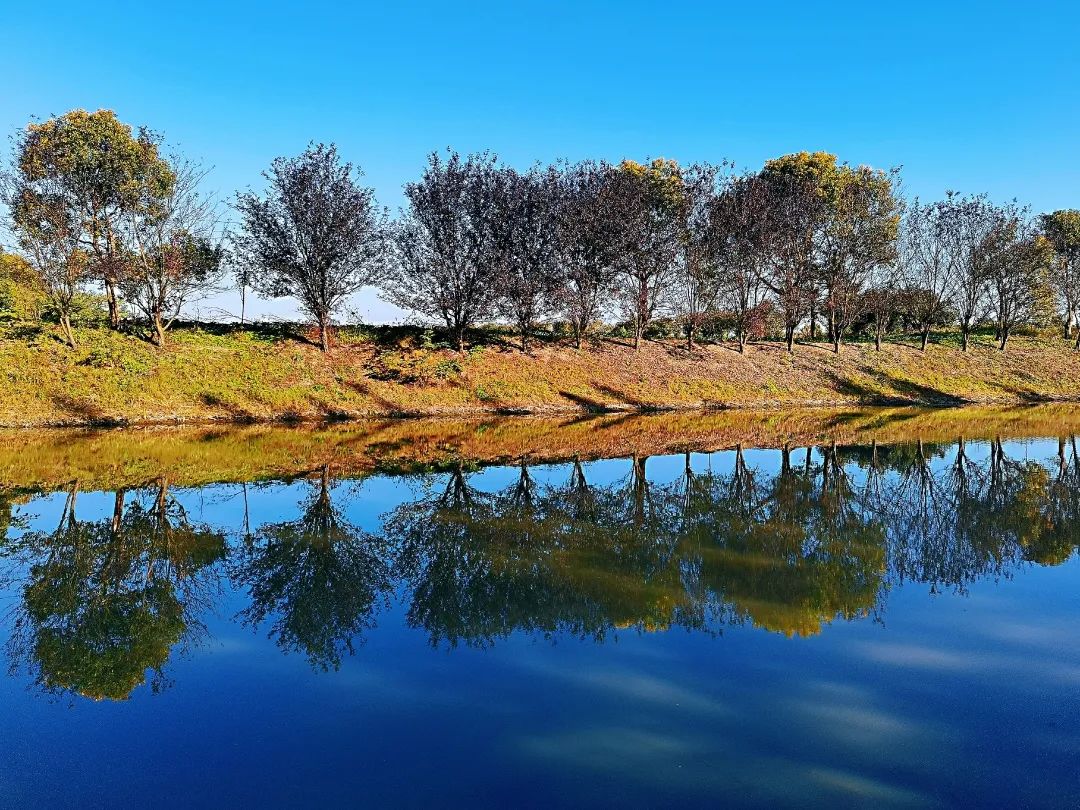 巴黎太远,来奉贤海湾感受初冬油画般风景的浪漫!
