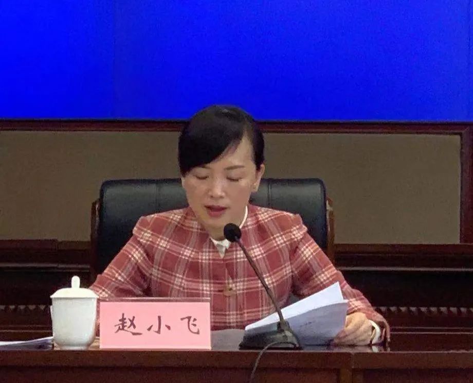 会上,县政府妇儿工委办主任,县妇联主席赵小飞作工作报告,总结2019
