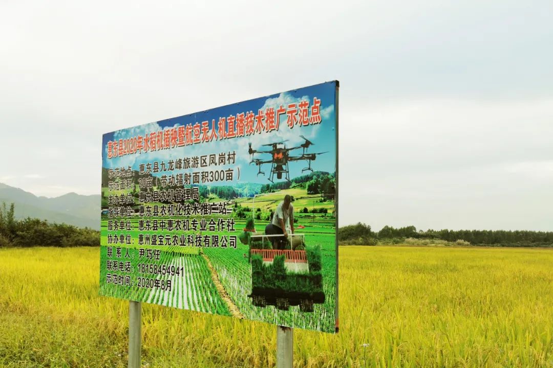 三年滩涂荒地变万亩良田惠州垦造水田见成效农民增收成农村换新颜