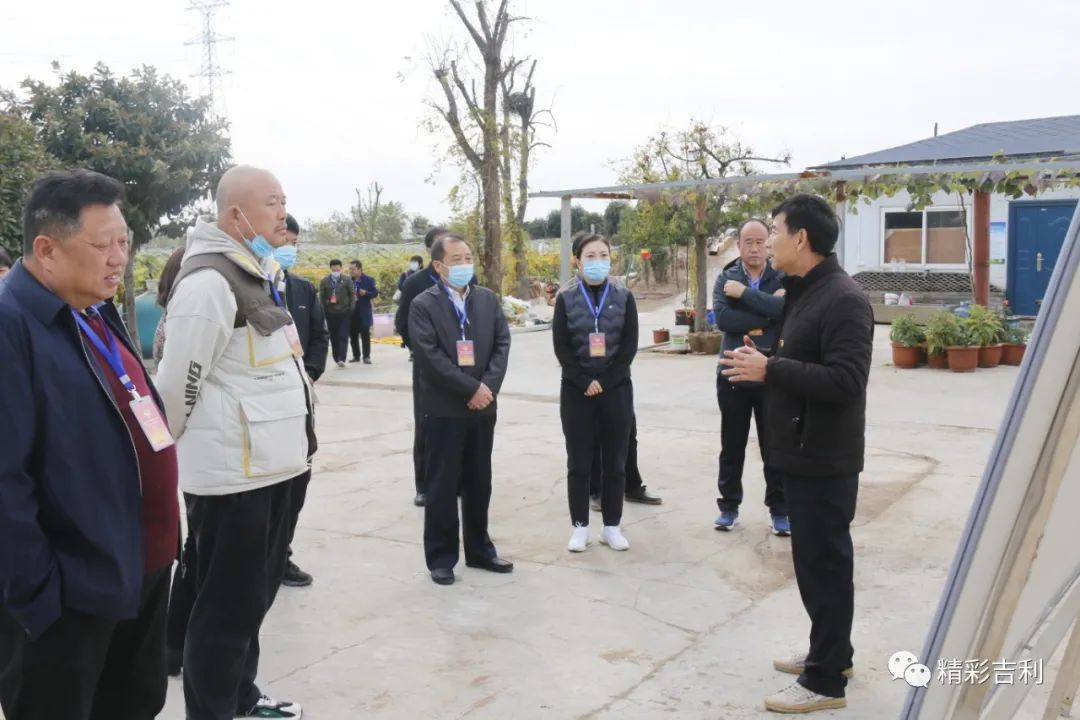 区政协视察美丽乡村建设实施情况