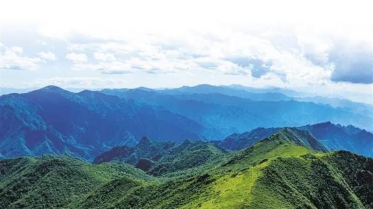 保护秦岭 | 秦岭动植物的乐园