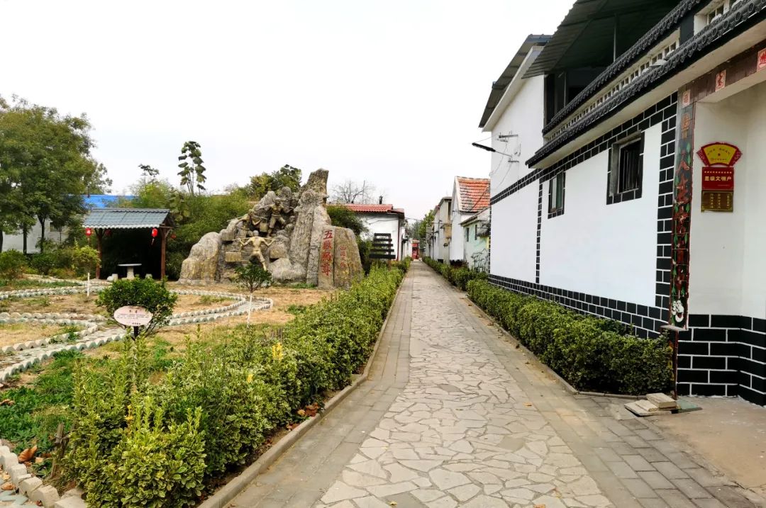 "我家街巷最美"系列展示 | 泰安市宁阳县东疏镇赵茂村