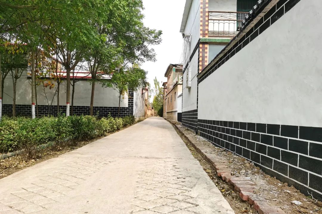 "我家街巷最美"系列展示 | 泰安市宁阳县东疏镇赵茂村