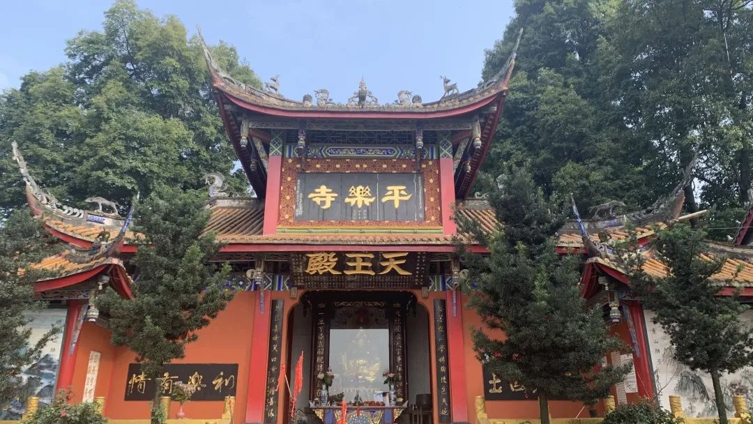 郫都千年古刹藏着最美银杏