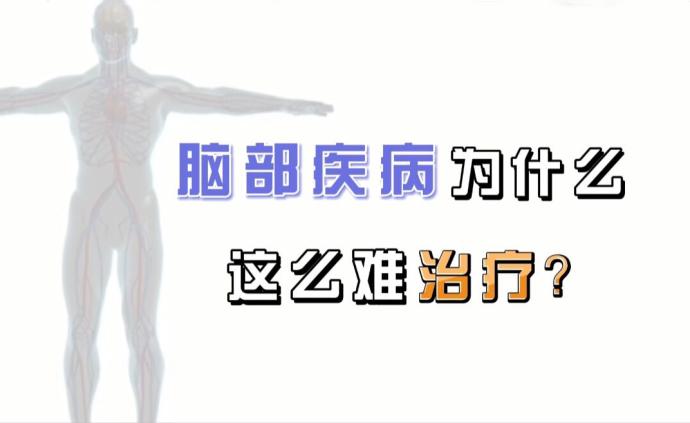 大脑生病为什么难治？如何突破血脑屏障？