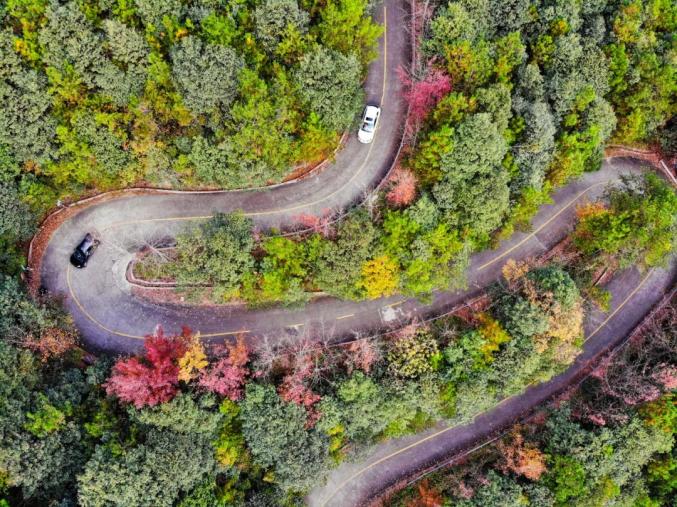 浙江最美自驾公路浦江图片