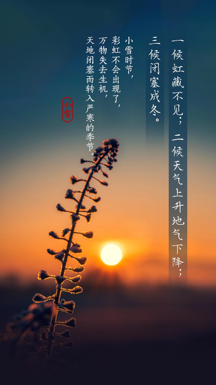 小雪到冬始俏一起期待浪漫初雪