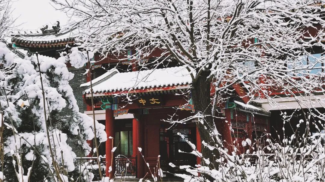 千秋一脉四海文心北大中文系的110年