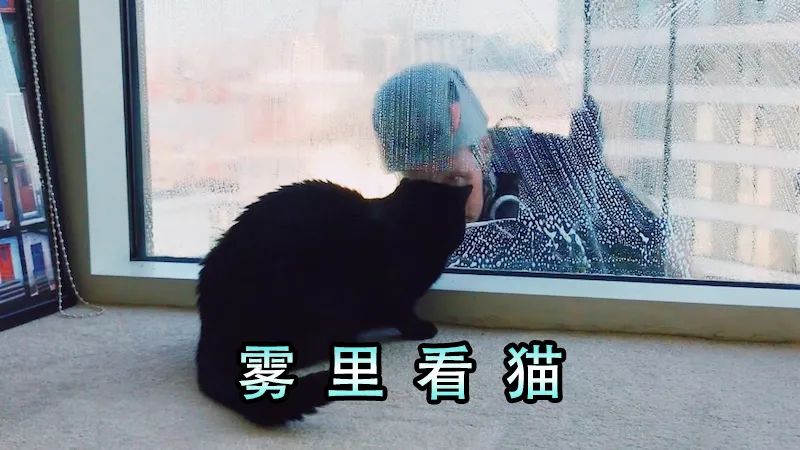 澎湃新闻