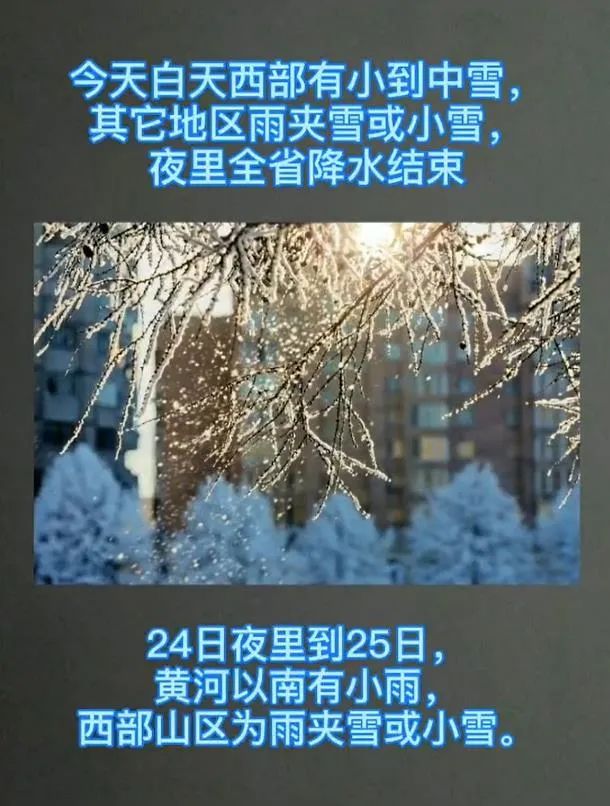 雪中雪雨夹雪局地大雪郑州什么时候下雪这个未解之谜有着落了