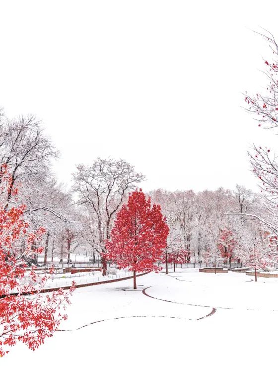 小雪|日暮苍山远_澎湃号·湃客_澎湃新闻-The Paper