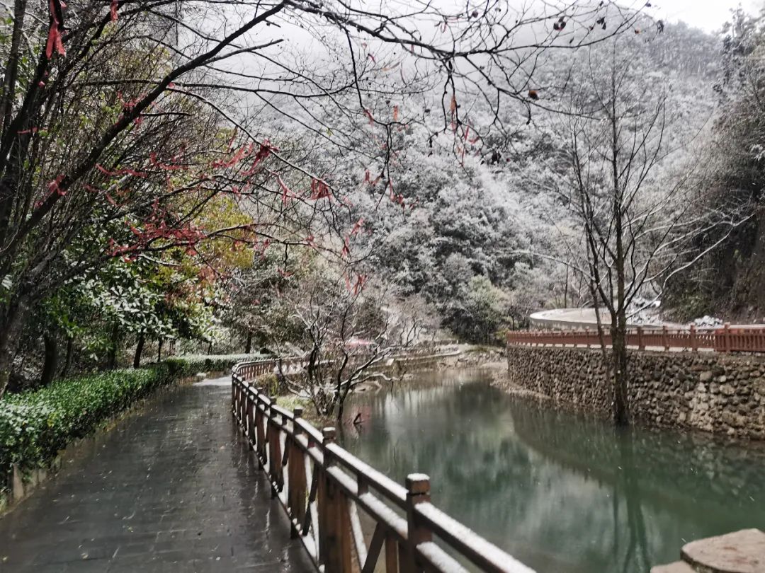 白竺青草湖雪景图片