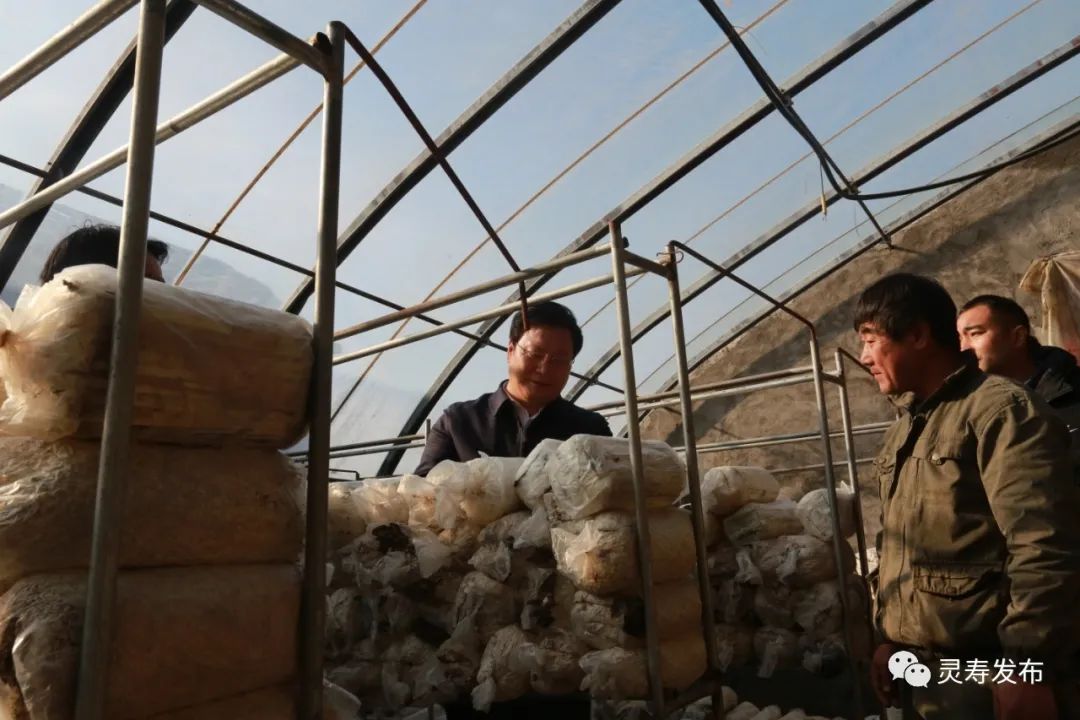 县委副书记县长冯素伟到陈庄镇宣讲党的十九届五中全会精神