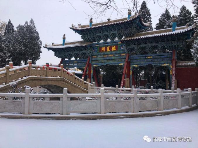 雪伴雨丝轻飞洒 庭前疑似漫飞花 看文庙雪景美如画